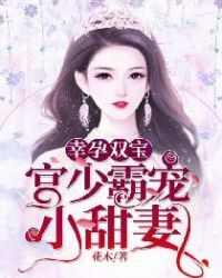 幸孕双宝：宫少霸宠小甜妻