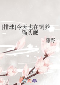 [排球] 今天也在饲养猫头鹰