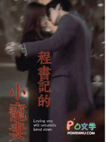 程书记的小宠妻